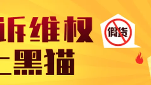 2026赛季预热森林狼最新训练照片，麦丹尼尔斯等关键球员在列